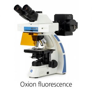 oxionfluorescence_2